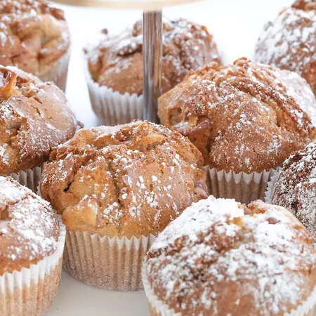 Viva Sky كونستانز